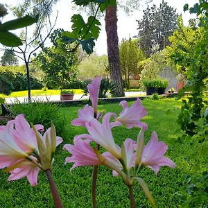 Bed & Breakfast Welcome, Pedara